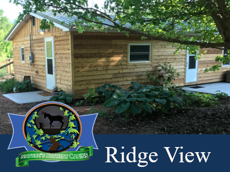 Ridgeview Cabin - Nature's Retreat Cabins